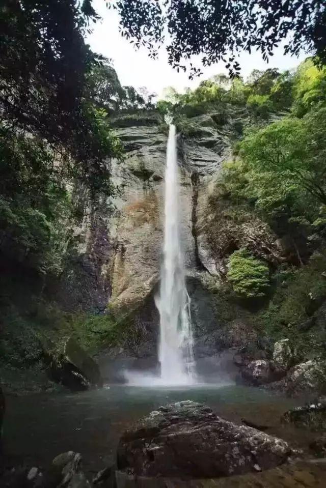 召唤神龙万宁版祖龙