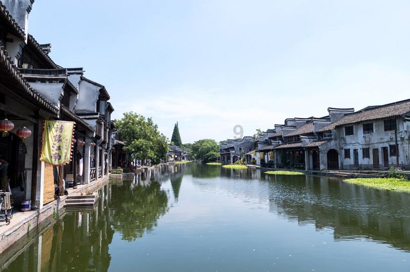 动物帮帮忙保卫家园